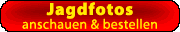 Jagdfotos anschauen und bestellen